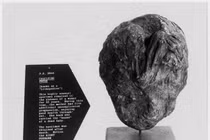 Đẻ xong xuôi, đến chết người phụ nữ mới phát hiện điều kinh dị 