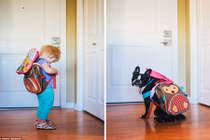 Tình bạn kỳ lạ của bé 2 tuổi và chó cưng