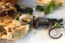 Đang ăn hamburger, sốc nặng khi cắn phải thứ kinh dị này 