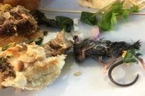 Đang ăn hamburger, sốc nặng khi cắn phải thứ kinh dị này 