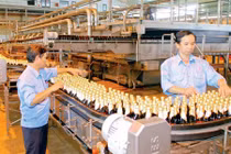 Dán tem bia, Bộ Công thương sẽ mang về ngân sách 2.000 tỉ đồng?
