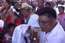 Kỳ lạ cá sấu mặc váy cưới trắng muốt, kết hôn với người