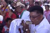 Kỳ lạ cá sấu mặc váy cưới trắng muốt, kết hôn với người