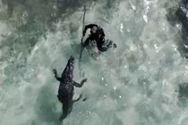 Ghê rợn khoảnh khắc cá sấu khổng lồ dồn đuổi, "vờn" người