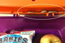 Chuyện lạ hôm nay: Mở hộp cơm, mẹ điếng người với sinh vật này 