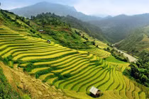 Việt Nam vào top quốc gia phải đến một lần trong đời