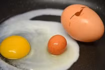 Kinh ngạc phát hiện “trứng lồng trứng” cực hiếm