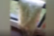 Xích mích cha dượng, cậu bé thản nhiên làm điều hãi hùng...