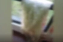 Xích mích cha dượng, cậu bé thản nhiên làm điều hãi hùng...