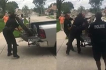 Video: Cá sấu bị trói chặt vẫn tung đòn hiểm khiến cảnh sát choáng váng