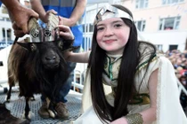 Kỳ quặc dê núi hoang dã làm vua, có hoàng hậu là nữ sinh 