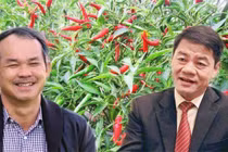 Video: Vì sao ông Trần Bá Dương đầu tư tỷ USD cho bầu Đức?