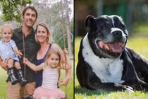 Chó sủa liên tục bất thường và sự thật đáng sợ