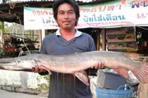 Ngư dân tóm được "siêu" cá cổ đại, xuất hiện là dậy sóng