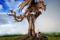 Xem mãnh thú xuất hiện đẹp kinh ngạc từ gỗ 