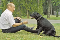 “Siêu” chó cưng của Tổng thống Nga Putin từng sống sướng thế nào?