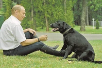 “Siêu” chó cưng của Tổng thống Nga Putin từng sống sướng thế nào?