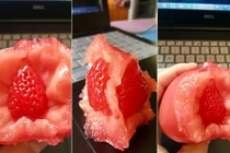 Kỳ lạ quả dâu tây “mọc” trong cà chua có 1-0-2 