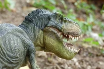 Phát hiện thú vị khủng long cũng từng có răng sữa 