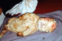 Dê "mặt người" và những trường hợp biến dị gây sốc nhất