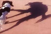 Ẩn sau những chiếc bóng nhìn 2 lần mới ra này, là sự thật kinh ngạc