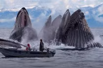 Choáng váng những hình ảnh trùng hợp hoàn hảo đến khó tin 