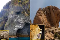 Tròn mắt với những tảng đá khổng lồ giống hệt động vật 