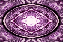 Kinh ngạc đối xứng diệu kỳ trong thế giới thực vật