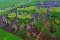 Độc lạ tranh lúa 3D khổng lồ ở Trung Quốc