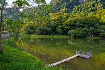 Rừng Cúc Phương đứng top 3 thiên đường cho người mê động vật