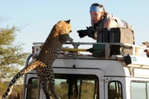 Phản ứng "gắt" của động vật hoang dã khi bị chụp lén 