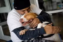 Ảnh đẹp: Chú chó hạnh phúc tột cùng lao vào tay chủ