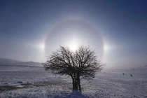 Lại tiếp tục xuất hiện 3 mặt trời cùng lúc gây xôn xao