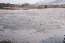 Vụ ô nhiễm, cá chết trên sông Bưởi: “Thủ phạm” nhận lỗi 