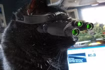 Tiết lộ sự thật gây sốc về loài mèo dễ thương