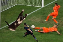 Chú mèo kỳ lạ nổi tiếng bởi dáng đứng bất hủ