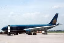 Phát hiện 180kg ngà voi đi máy bay về Nội Bài