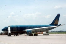 Phát hiện 180kg ngà voi đi máy bay về Nội Bài