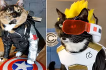 Cặp mèo đáng yêu “ngầu” nhất dải thiên hà 