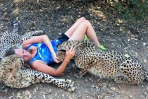 Chuyện lạ hôm nay: Người phụ nữ ăn ngủ được với báo hoang