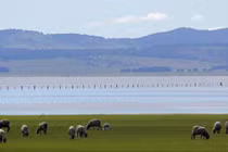 Bí ẩn hồ nước ảo ảnh lúc ẩn lúc hiện vô cùng khó đoán