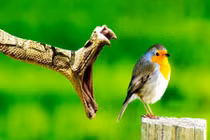 Đắt giá khoảnh khắc 1 tích tắc trước khi bi kịch xảy ra