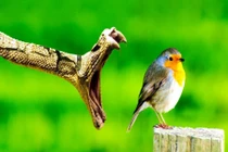 Đắt giá khoảnh khắc 1 tích tắc trước khi bi kịch xảy ra