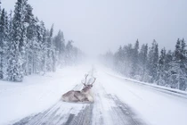 Cảnh tượng thần tiên ở quê nhà của ông già Noel 