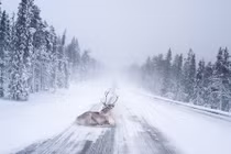 Cảnh tượng thần tiên ở quê nhà của ông già Noel 