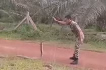 Rắn hổ mang chúa hiền "như cún", "quy phục" chàng binh sĩ siêu ngầu