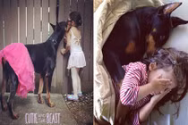 Tình bạn kỳ lạ của cô bé và chàng chó "quái vật"