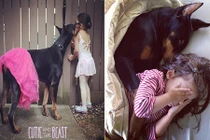 Tình bạn kỳ lạ của cô bé và chàng chó "quái vật"