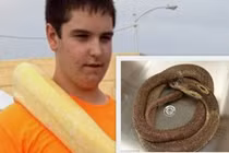 Rùng mình thanh niên ngồi im để rắn độc cắn chết