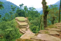 Những bí ẩn ám ảnh không thể giải thích của tự nhiên (1)